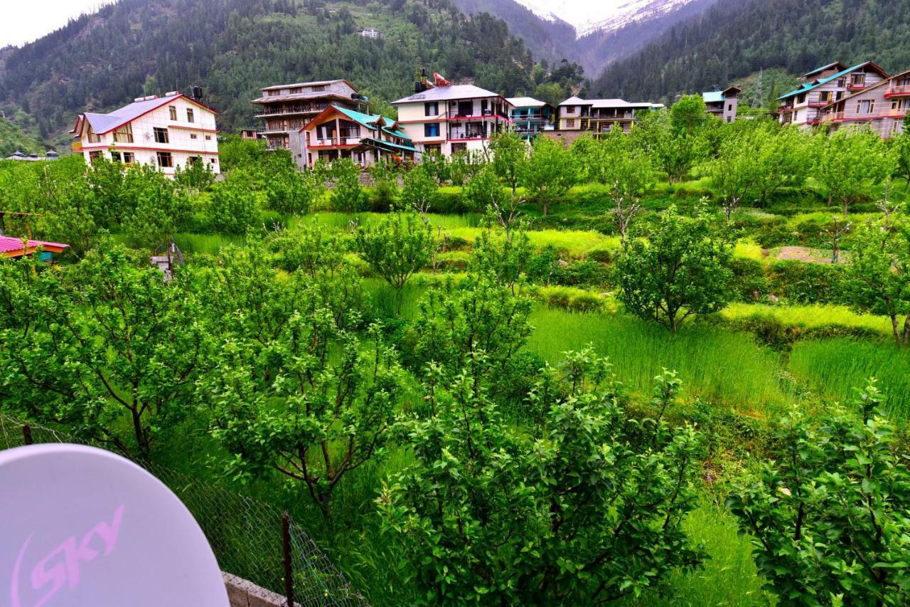 Oyo 38759 Tara Cottages Manāli Dış mekan fotoğraf